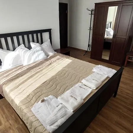 ゲストハウス - сидона サパレヴァ・バニャ